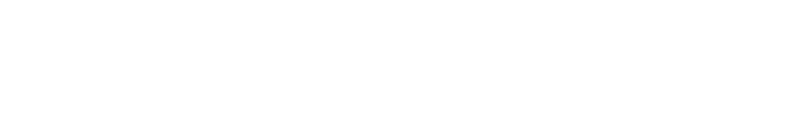 Modern Warrior